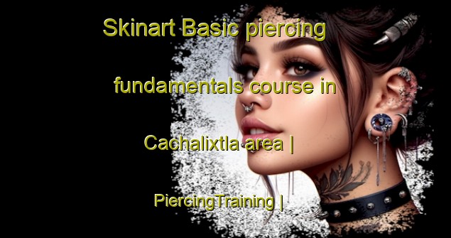 Skinart Basic piercing fundamentals course in Cachalixtla area | PiercingTraining | PiercingClasses | SkinartTraining-Mexico